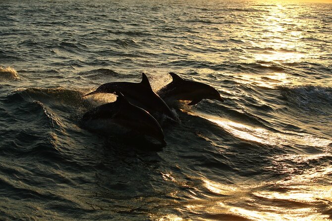 Moorea Sunset Boat Trip - Who should book this boat trip