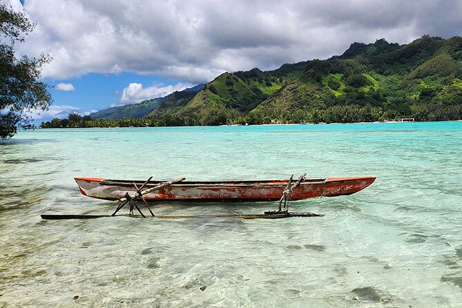 Moorea tour in electric citycoco (in autonomy) - Te Fare Natura and the Opunohu ecomuseum