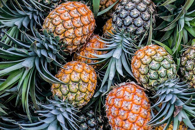 Moorea tour in electric citycoco (in autonomy) - Rotui juice, rum, and a taste of Moorea
