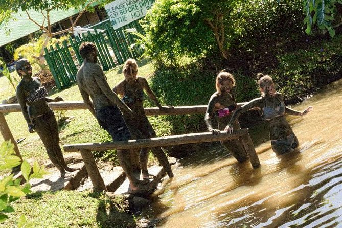 Mud Pools-Nadi Private Therapeutic Pools, Gardens, Temple, Market &Shopping Tour - Why this half-day tour works in Nadi