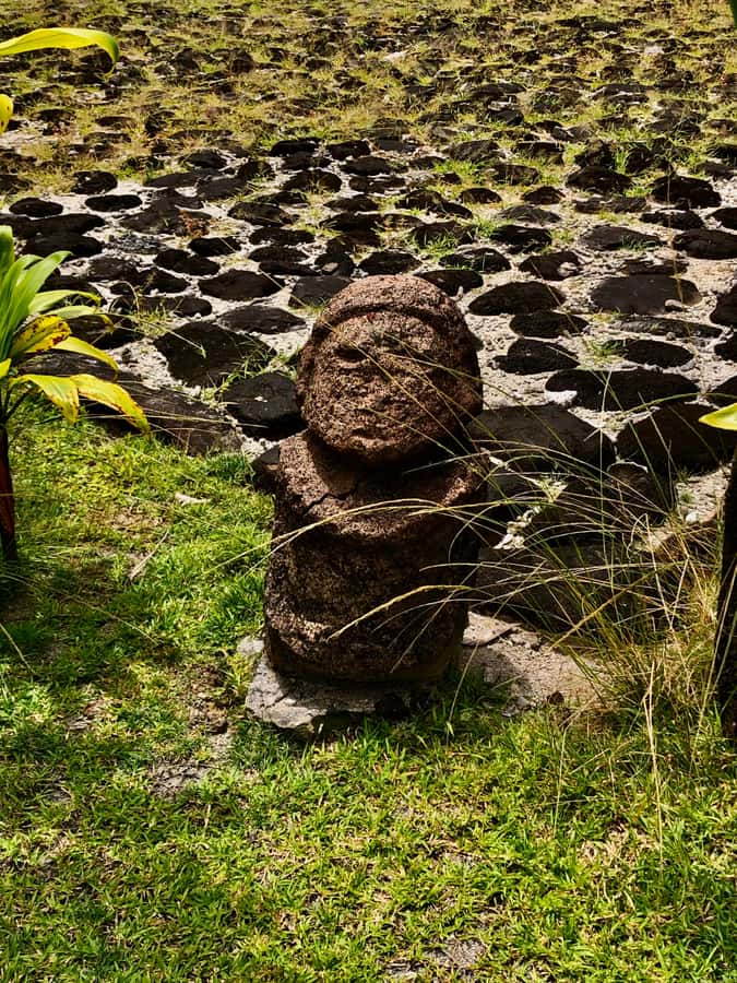 Must-Do : Nature, Culture & Moments Uniques – MirimirI Tours - Farm, garden, and the Faaroa River