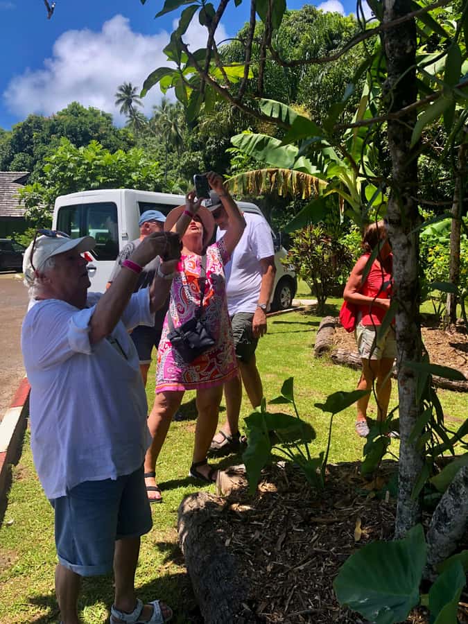 Must-Do : Nature, Culture & Moments Uniques – MirimirI Tours - How the four hours are likely to feel