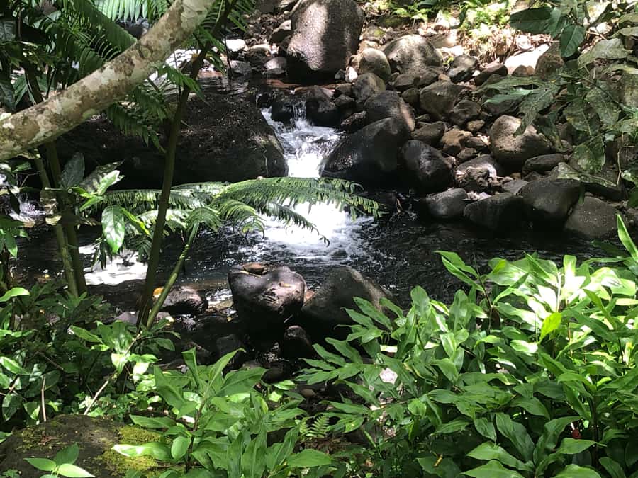 Must-Do : Nature, Culture & Moments Uniques – MirimirI Tours - Choosing your starting point on Raiatea