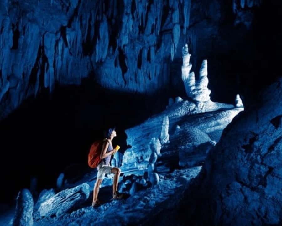 Nadi: Abseiling, Zipline, and Cave Tour with Meal - The trip from Nadi to the forest