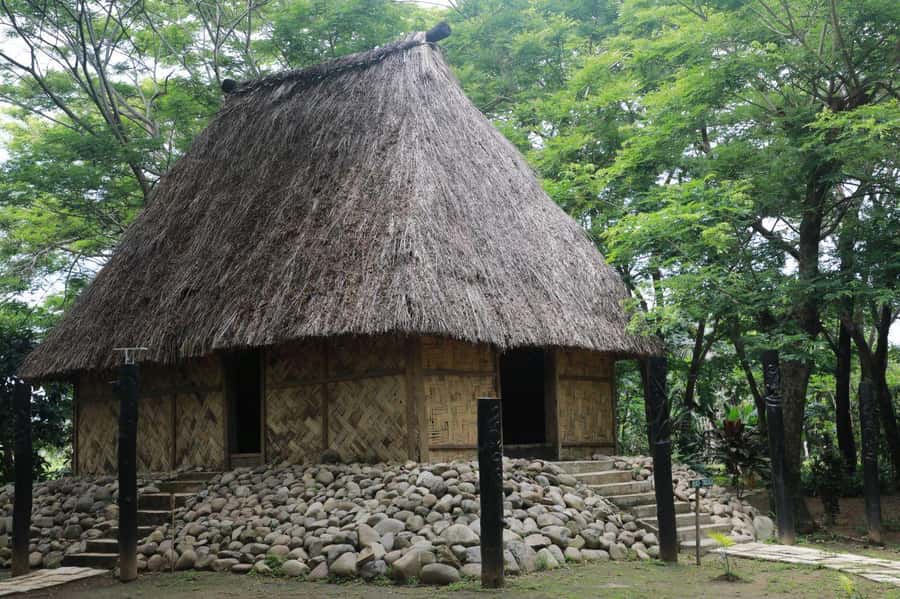 Nadi: Fijan Culture Night Tour with Dinner & Kava Ceremony - Who will enjoy this Fiji culture night
