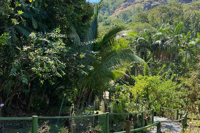 Nadi Fiji Historical Half Day Tour - Tappoo Nadi and the fresh coconut pause
