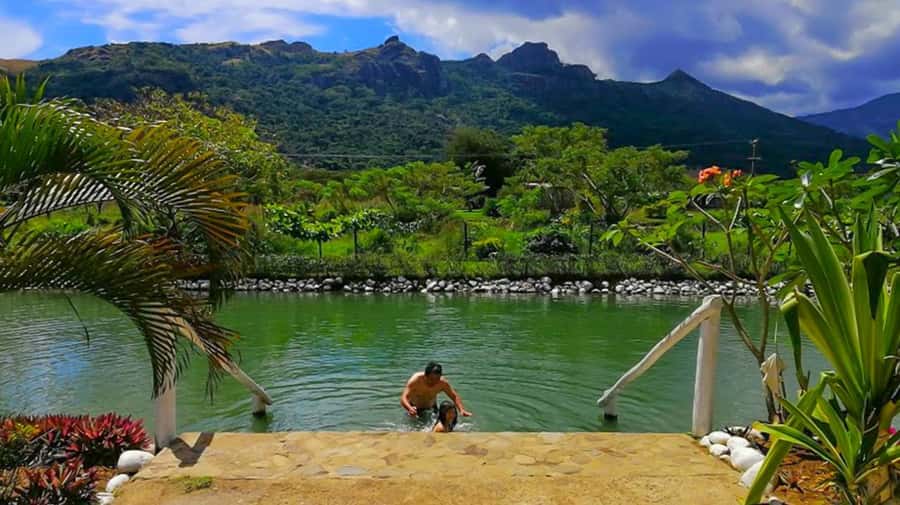 Nadi: Garden Village Hot Spring & Temple Highlights Tour - Garden of the Sleeping Giant and its orchid collection