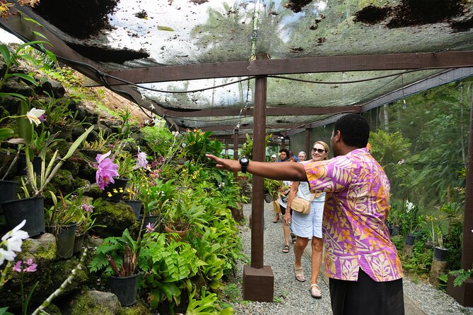 Nadi Heritage Tour - Viseisei village and Fiji’s first settlers