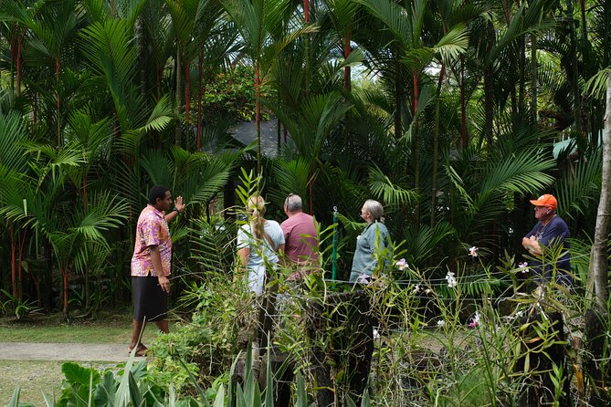 Nadi Heritage Tour - The mud-pool question needs a little care