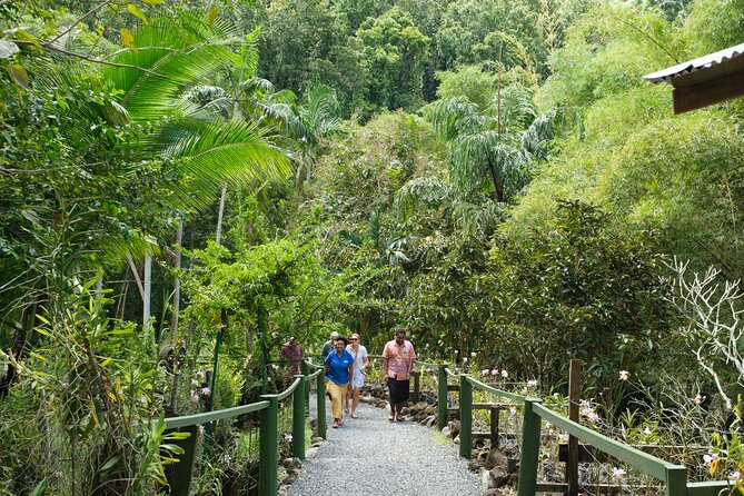 Nadi Heritage Tour - Who should book this Nadi tour?