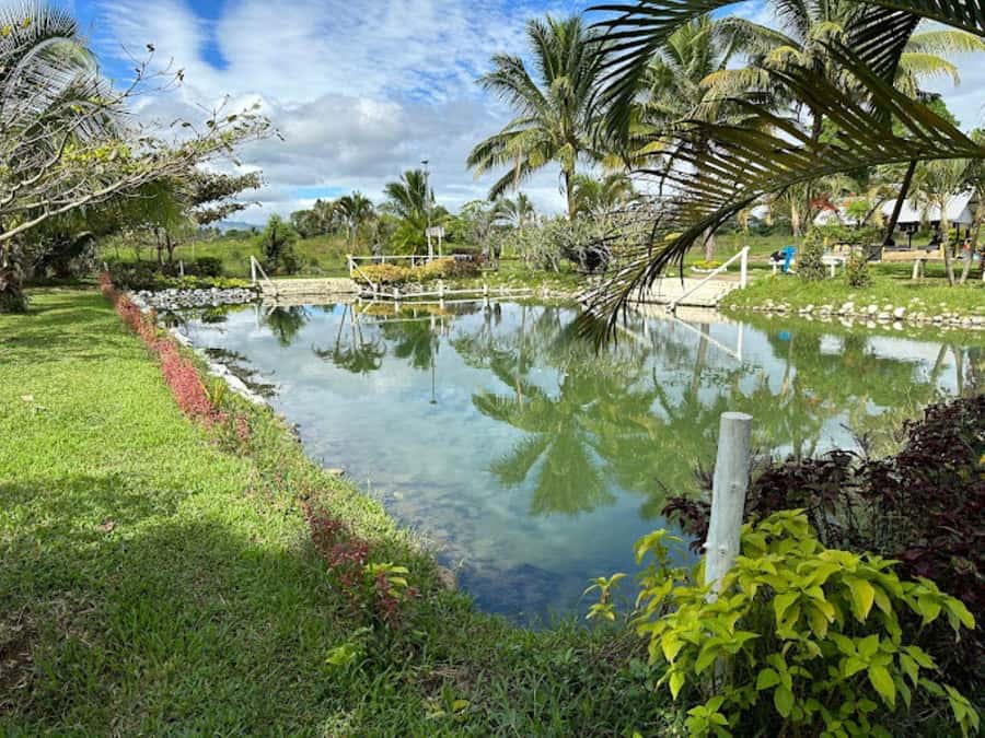 Nadi: Mud Pool and Hot Spring Private Tour - Washing off in the hot spring