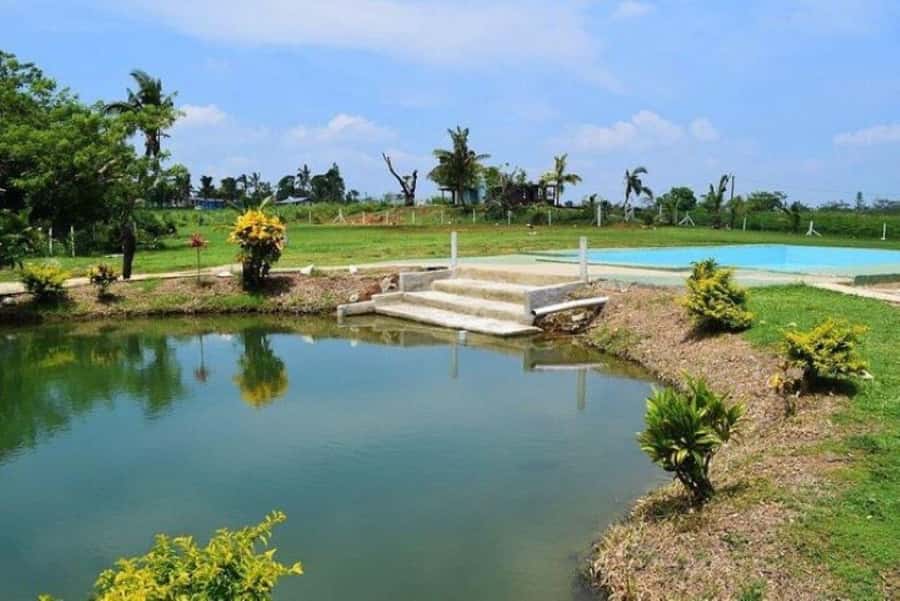 Nadi: Mud Pool and Hot Spring Private Tour - Sleeping Giant Mountain adds the sense of place