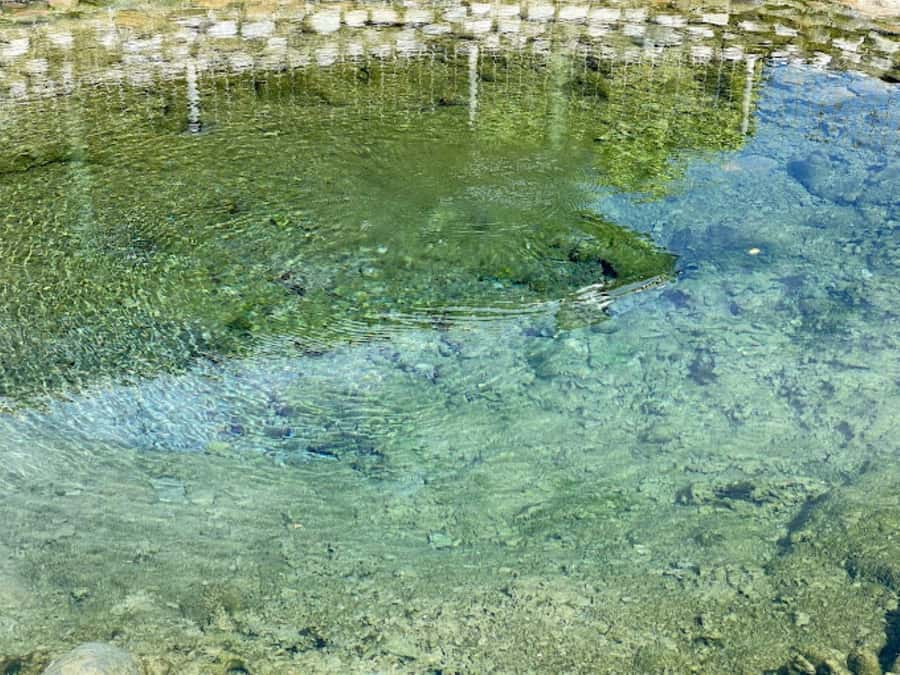 Nadi: Mud Pool and Hot Spring Private Tour - Should you add the massage?