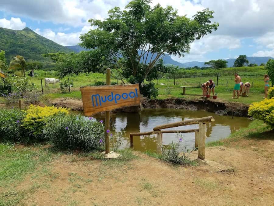 Nadi: Mud Pool and Hot Spring Private Tour - The pace is relaxed, not packed