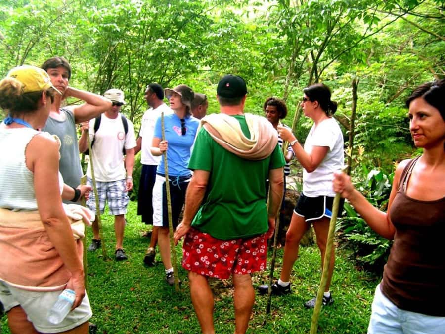 NADI: Nalesutale Village Half Day Tour - Key points at a glance