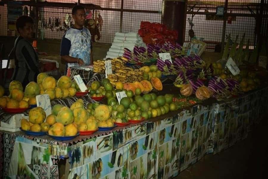 Nadi: Private Tour with Temple, Garden, Markets & Mud Pools - Booking Flexibility and Practical Details