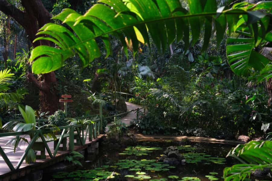 NADI-SABETO: Exquisite Orchid Garden with Hotspring Mudpool - What to pack for a muddy afternoon
