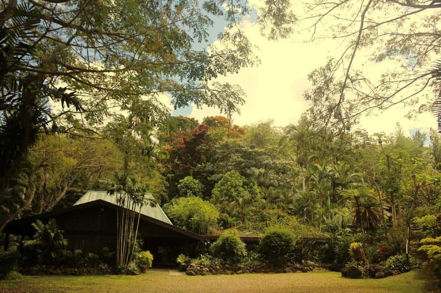 NADI-SABETO: Exquisite Orchid Garden with Hotspring Mudpool - Should you book the Garden of the Sleeping Giant and Sabeto mud pools?