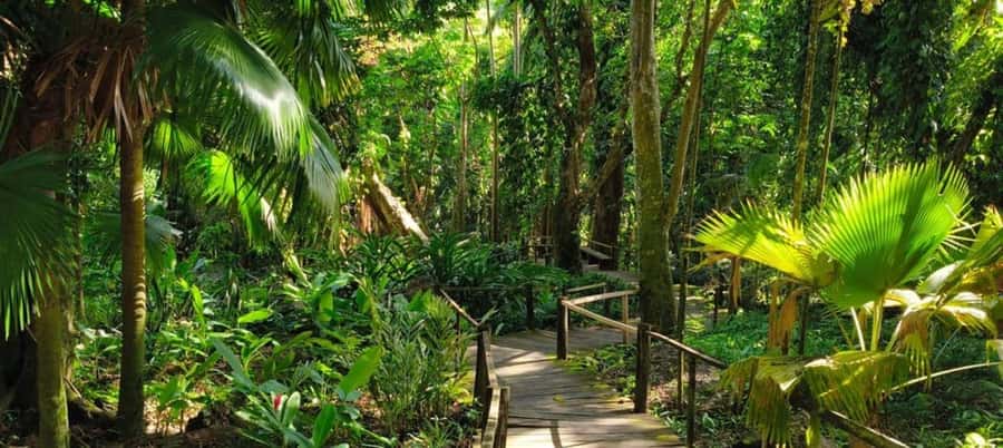 NADI-SABETO: Exquisite Orchid Garden with Hotspring Mudpool - A cool one-hour walk through orchids and lilies