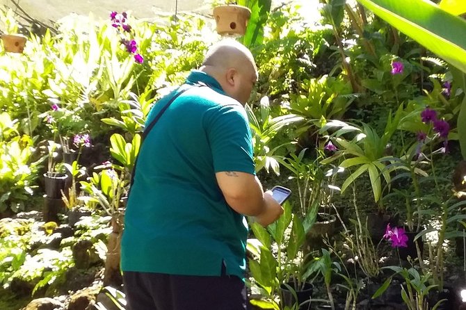 Nadi Sightseeing Including Viseisei Lookout, Village Tour, Garden & Temple Tour - Is $79.98 a fair price?