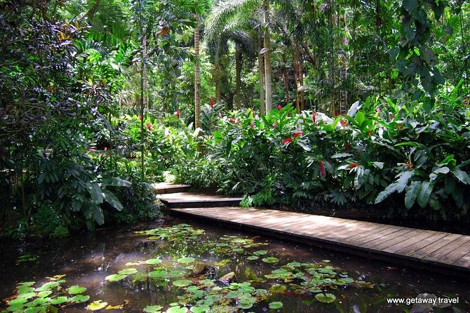 Nadi Sightseeing & Mud Pool Tour - Ex Fiji Marriott, Momi Bay - A Short Stop at the Souvenir Shop and Namaka Market