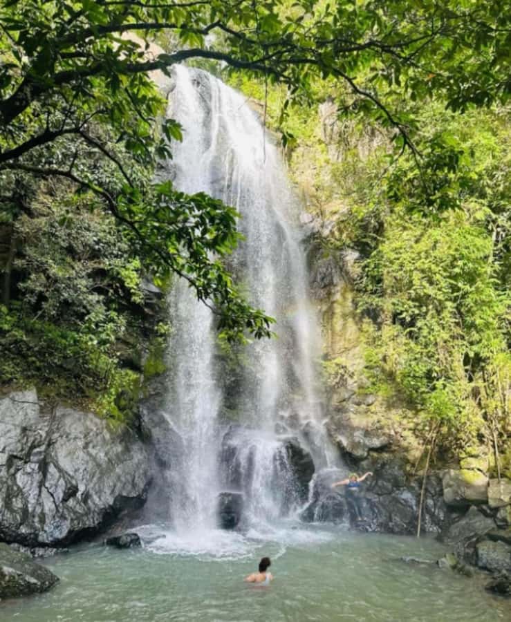 Nadi: Waterfall Tour Adventure with Refreshments and Lunch - Feeding farm animals salt