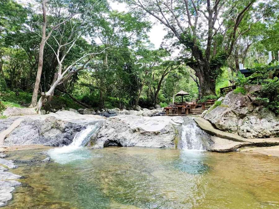 Nadi: Zipline, Waterfalls, and Jungle Safari Tour with Lunch - Lunch beside streams and jungle foliage