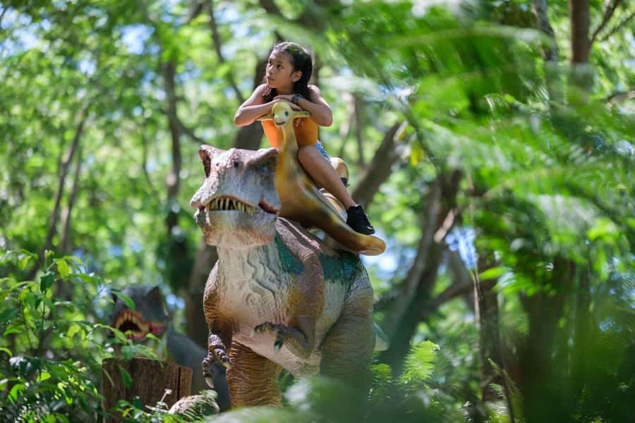 Nadi: Zipline, Waterfalls, and Jungle Safari Tour with Lunch - Timing, pickups, and the value of the $88 price