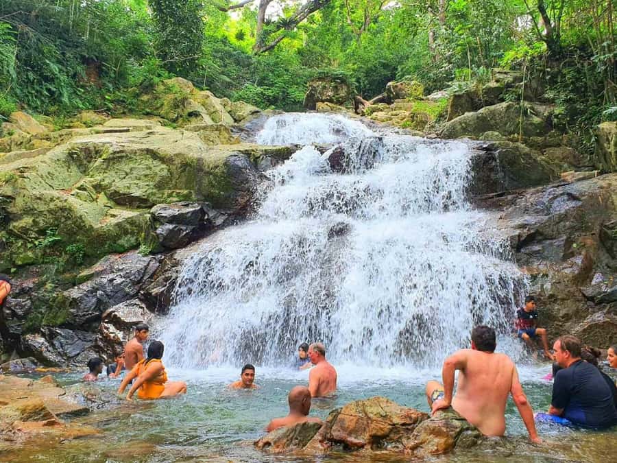 Nadi: Zipline, Waterfalls, and Jungle Safari Tour with Lunch - Should you book the Nadi zipline and waterfall tour?