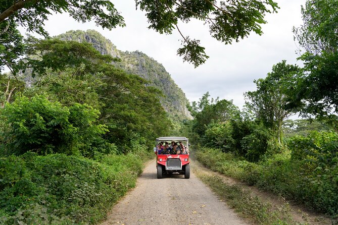 Naihehe Cave Safari in Sigatoka with BBQ Lunch - Entering Naihehe Cave with local guides