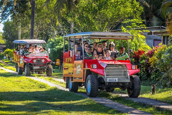 Naihehe Cave Safari in Sigatoka with BBQ Lunch - Should you book this Sigatoka cave safari?