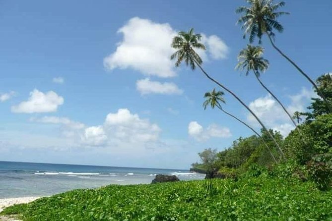 Namua Turtle Island and Eastern Upolu Tour - Why this Upolu day works so well