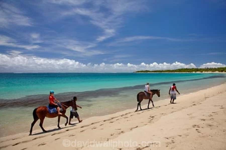 Natadola Beach Tour With Tifajek Mud Pool & Hotspring - Who will get the most from this outing?