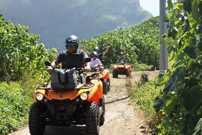 NEW!!! ATV TOURS with a local tour guide from Bora Bora - Why see Bora Bora from an ATV?
