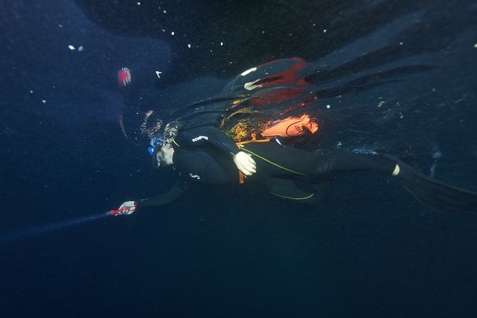Night Snorkeling - Why the small group matters in the dark