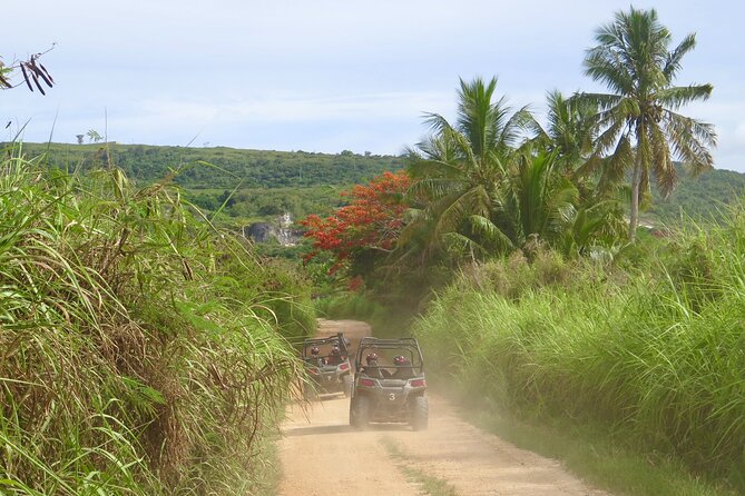 Off-Road Buggy Adventure - A secluded beach with time to swim