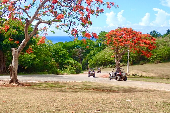 Off-Road Buggy Adventure - Timing, meeting point, and cancellation details