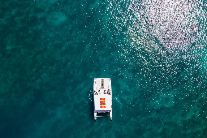 Oolala Cruises on Savala Island - Kayaks, paddle boards, and beach time