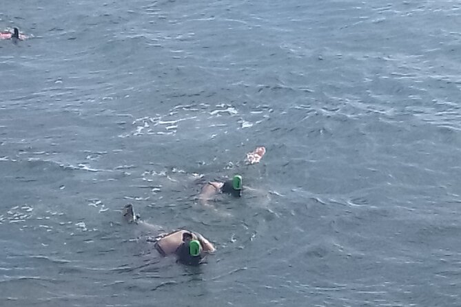 Other side of heaven Eco friendly snorkeling adventure - A compact outing for a port morning