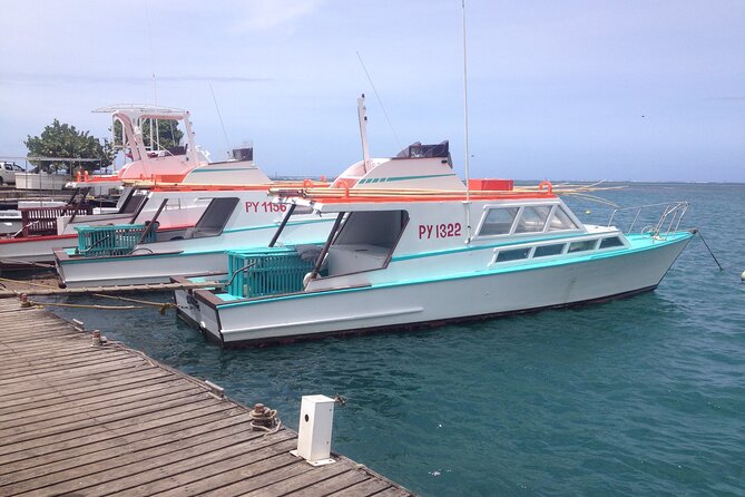 Papeete and Tahiti Historical and Cultural Tour - Choosing the East Coast Route