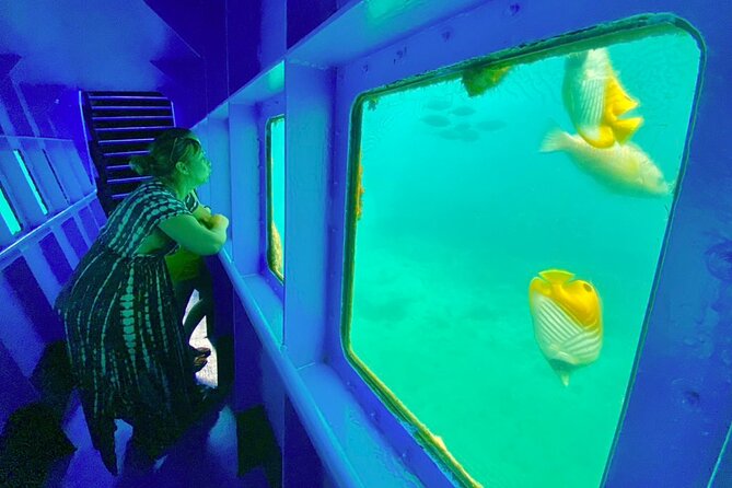 Ponton Day Trip SWIM with fish’s All meals included & Transport - Key points to know before booking