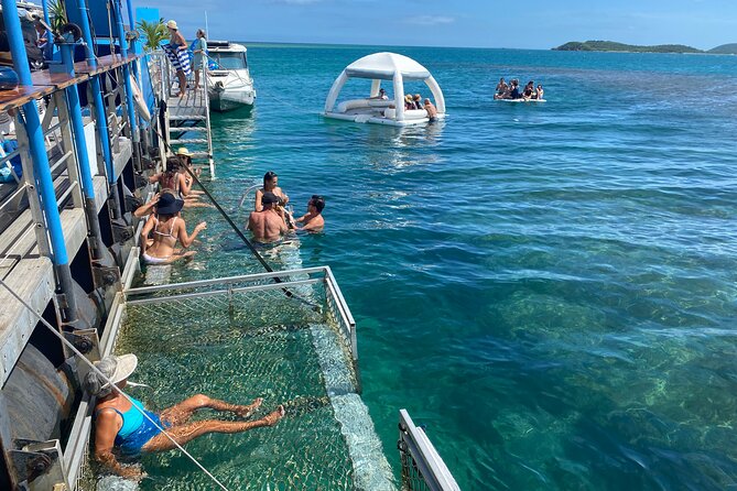 Ponton Day Trip SWIM with fish’s All meals included & Transport - Snorkeling among fish and looking for turtles