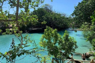 Port Vila Full Day Tour – Experience the Real Vanuatu