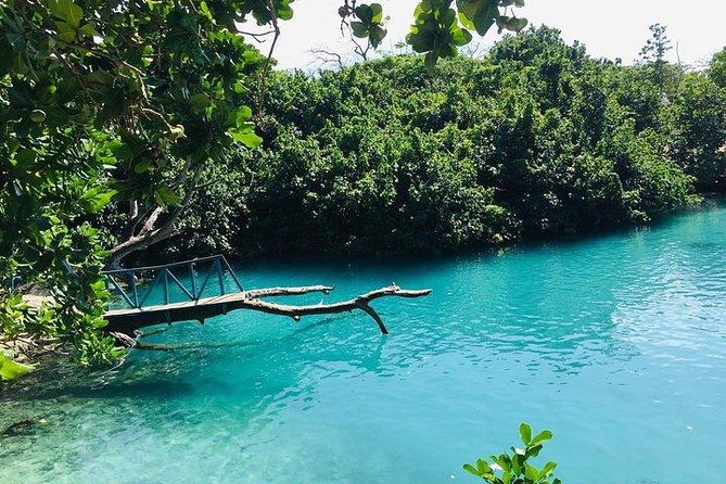 Port Vila Full Day Tour - Experience the Real Vanuatu - Lunch, fruit, and a taste of local hospitality