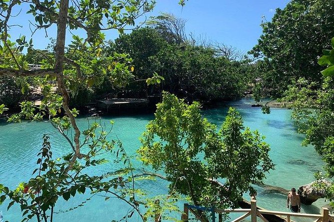 Port Vila Full Day Tour - Experience the Real Vanuatu - AVI turtles: the most memorable encounter
