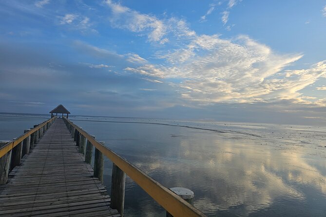 Premier Transfers and Tours Fiji - Town and city tours on Viti Levu