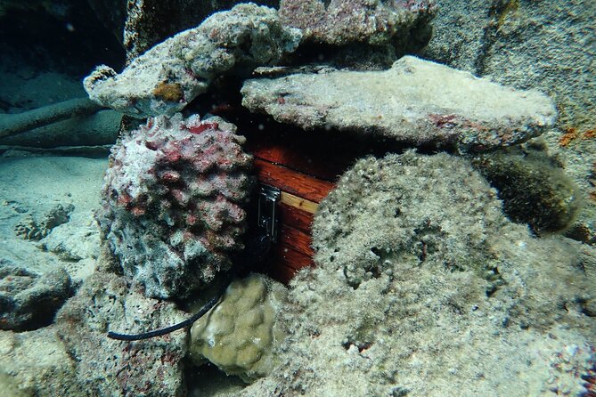 Private 4 Hours Reef Discovery Luxury Private Treasure Hunt in Bora Bora - Stop One: Learning the Clues on the Water