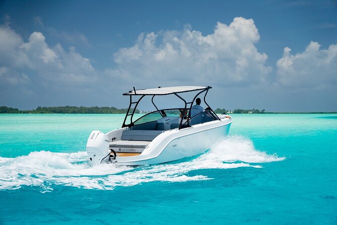Private 4 Hours Reef Discovery Luxury Private Treasure Hunt in Bora Bora - Who Will Enjoy This Most?