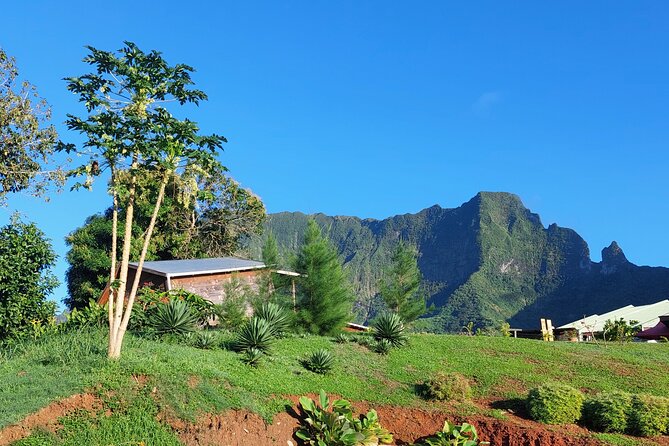 Private and guided visit to Mystery House Raiatea - Key points to know before you go