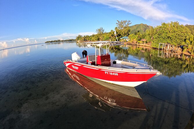 Private Big Game Fishing Day - The 6:00 a.m. Start and the Seven-Hour Schedule